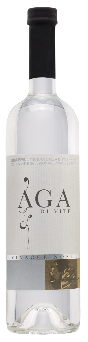 AGA DI VITE